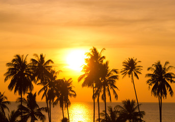 Sunset Divine Fiery Backdrop