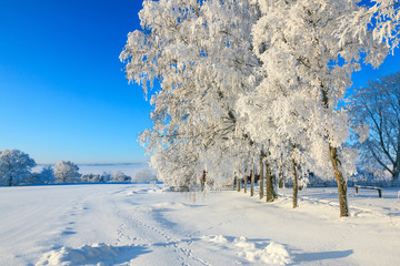 Snowy winter landscape