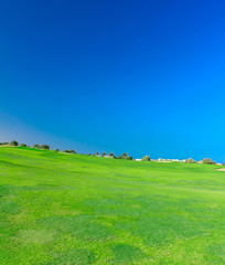  Golf Club Landscape