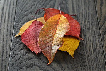 Naklejka na ściany i meble autumn cherry leaves on old oak table