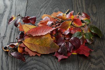 Naklejka na ściany i meble autumn leaves on old oak table