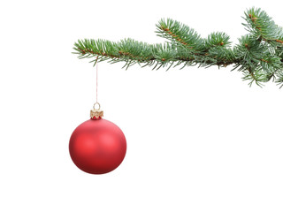 red satin glass ball hanging on christmas branch