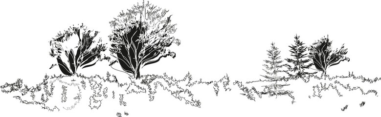 Fototapeta premium Sketch of landscape