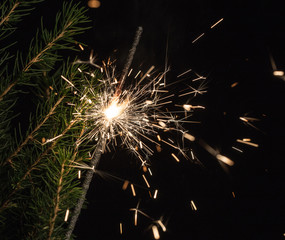 sparklers and spruce branches