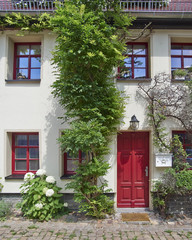 Fototapeta na wymiar House door with flowers, Altenburg, Thuringia Germany