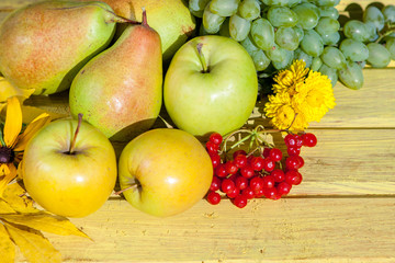 Naklejka na ściany i meble Apples, grapes, pear and red viburnum