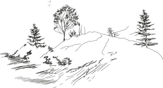 Sketch of landscape
