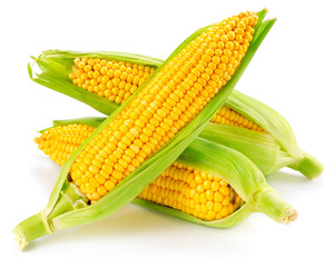 corn