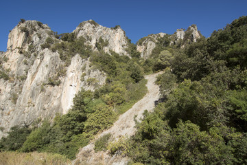 Wild Sardinia