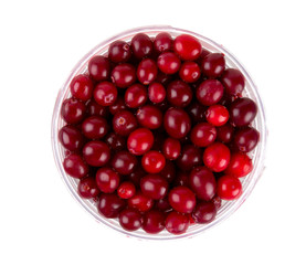 Cranberry isolated