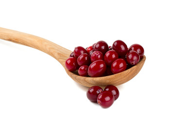 Cranberry isolated