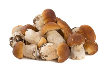 boletus mushrooms over white