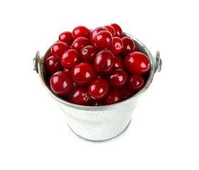 Cranberry isolated