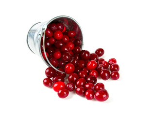 Cranberry isolated