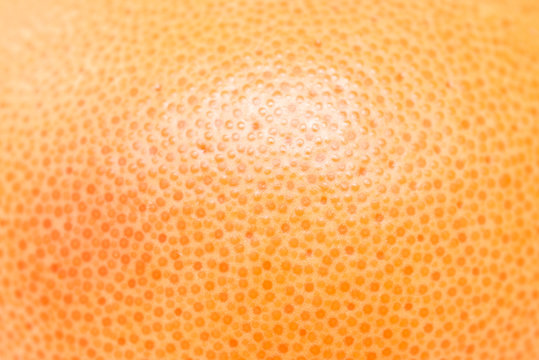 Pink Grapefruit Texture
