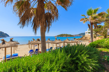 Fototapeta premium Palm trees and beach view in Sant Elm village, Majorca island