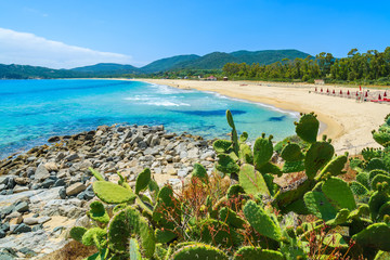 Cactus plants at Cala Sinzias bay and sea view, Sardinia island