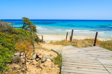 Fototapeta premium Path to Peppino beach near Costa Rei, Sardinia island, Italy