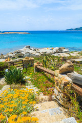 Yellow flowers on path to Spiaggia del Riso beach, Sardinia