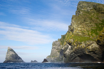 Northern gannets seen on the steep cliffs of St Kilda, UK