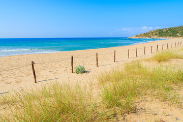 Fototapeta na wymiar Wooden fence and grass on sand dune, Chia beach, Sardinia island