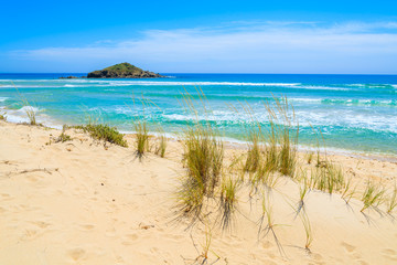 Grass on sand dune at Chia beach, Sardinia island, Italy