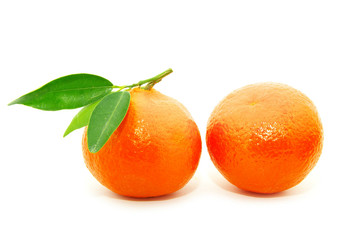 tangerine  on white
