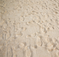 sand