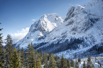 Alpine winter scene - sunny winter day in the mountains