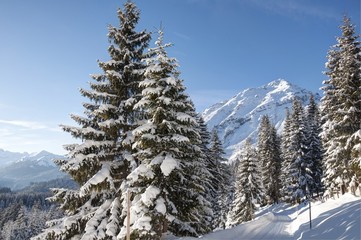 Alpine winter scene - sunny winter day in the mountains
