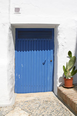 Fototapeta na wymiar blue metal door and cactus in clay pot