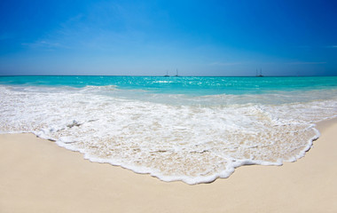 tropical sea
