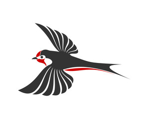 Bird 2