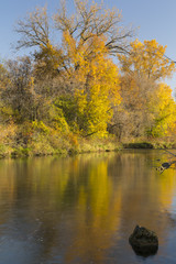 Fototapeta na wymiar Root River In Autumn