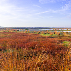 the moorland in the autumn