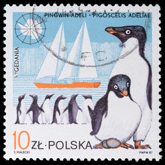 shows Penguin © Andrey_Lobachev