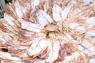 Dried Squid in market