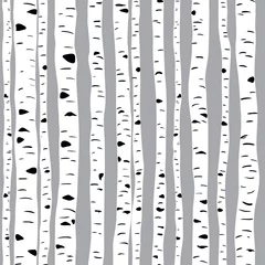 Printed kitchen splashbacks Birch trees Birches in vector