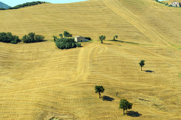 Summer landscape in Marches (Italy)