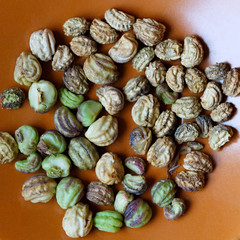 Seeds of the plants prepared for planting.