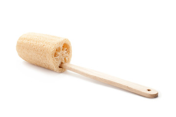 loofah