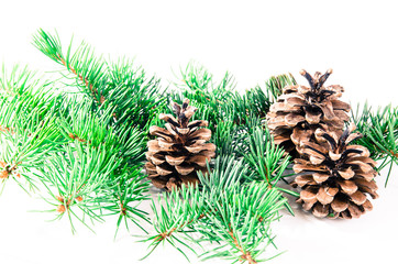 pine cone decoration