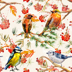 seamless texture with cute birds watercolor