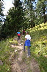 Obraz premium camminare