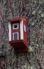 Painted bird house