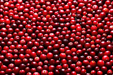 Ripe cranberries for background