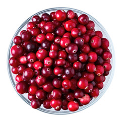 Ripe cowberry in a glass bowl