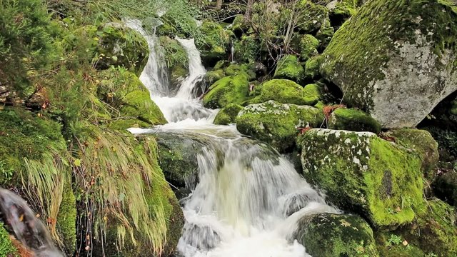 water fall through stones with moss