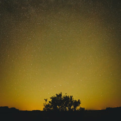 Night starry sky for background.