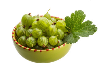 Gooseberry